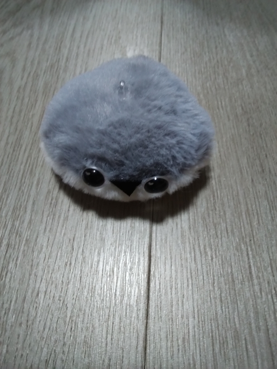 コメントの添付画像