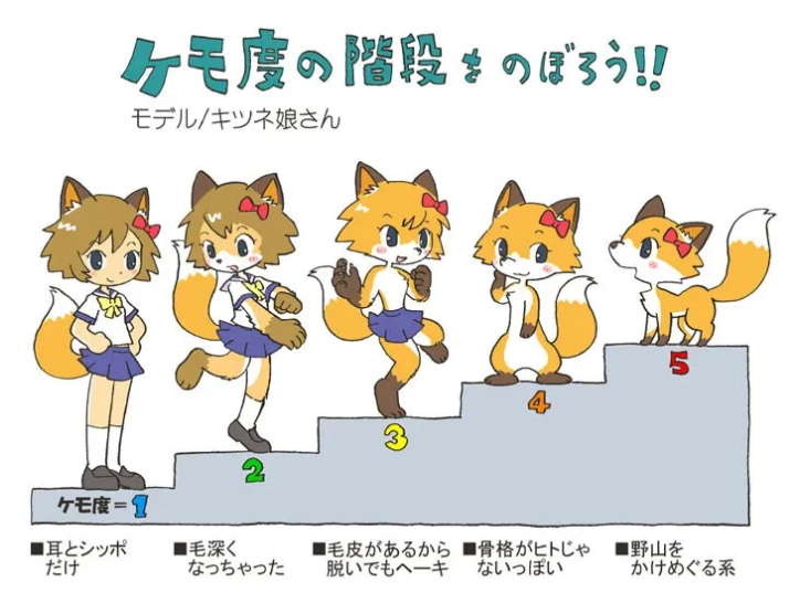 コメントの添付画像